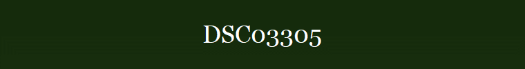 DSC03305