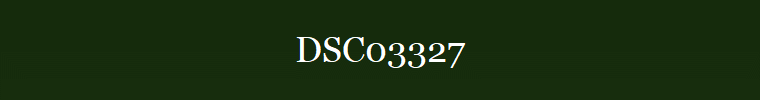DSC03327