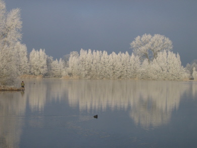 Frohe Weihnachten und einen guten Rutsch ins neue Jahr Frohe Weihnachten und einen guten Rutsch ins neue Jahr